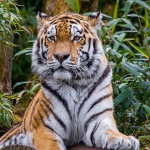 home_zoo_gallery_9
